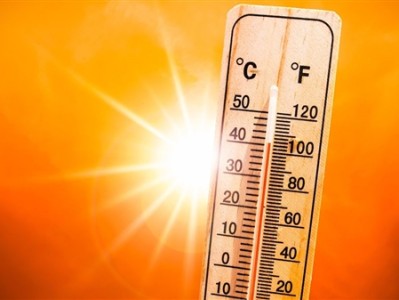 今年夏天热死蚊子 为何这么热：专家解释原因 !