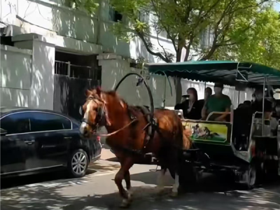 观光车让一匹马拉上10余人 景区回应：马拉的是电动车 ！