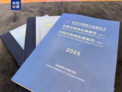 2025互联网蓝皮书今日发布：中国6G专利申请量全球第一 !