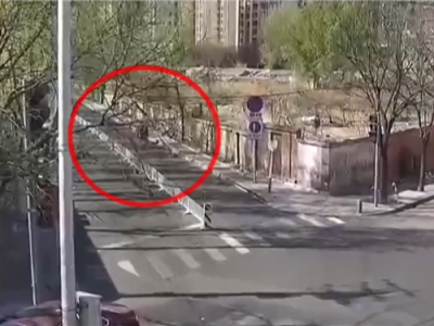 一男子骑电动车被大树砸中当场身亡：三被告均拒绝赔偿 !