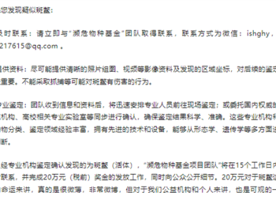 全球已知存活两只雄性斑鳖 寻鳖悬赏涨到20万元 志愿者：近200份线索都不是 !