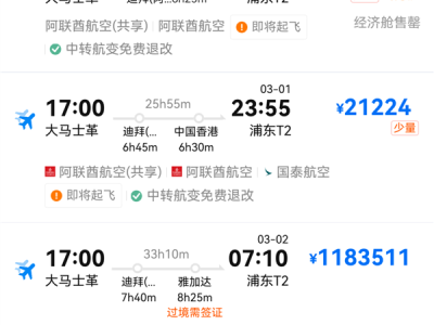 大马士革飞往上海机票涨至382万元一张 知情人士：可能是供应商误操作 !
