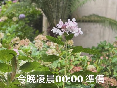 新专辑终于来了！周杰伦发文：今晚0点准备 ！