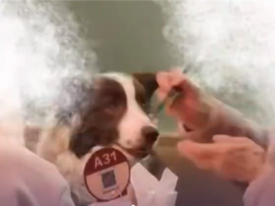 宠物狗上西贝上桌吃饭被质疑 门店：狗没碰餐具 顾客有携带狗盆 !