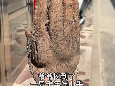 造型逼真到像真的！老人挖到酷似人手山药 出价8000元都不卖 ！
