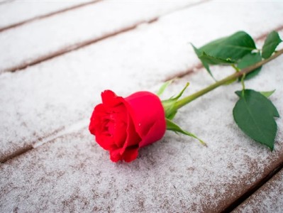 今天七夕节 男子用面粉给妻子做了一束鲜花 !