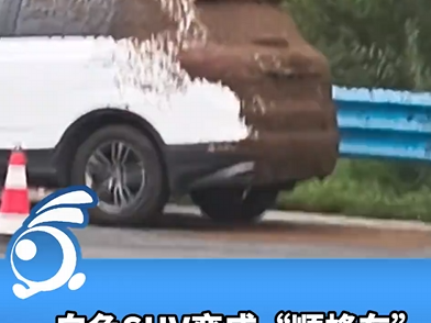 SUV车尾爬满密密麻麻的蜜蜂 车主称车上没有吃的 网友：妥妥“顺蜂车” !