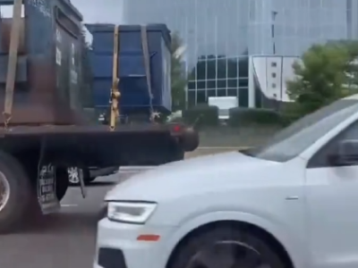 高速公路上演“逃生记”！浣熊惊险下车 看得人捏把汗 !