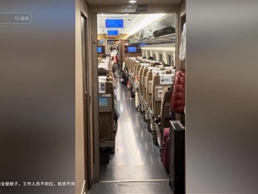 网友称高铁上蚊虫泛滥坐立难安：乘客纷纷用手驱赶 ！