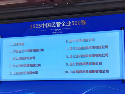 2025中国民营企业500强公布：京东阿里前二 华为未进前三 !