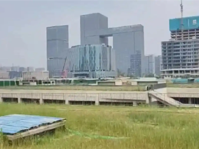 郑州胖东来地上公园细节曝光：斥资7291万 占地面积20万平方米 ！