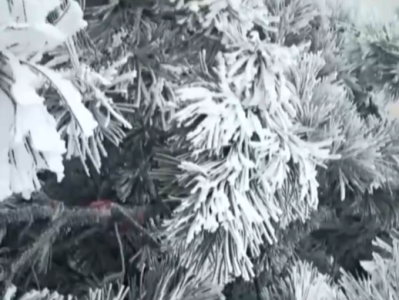 衡山冻成了“冰河世纪” 景区提醒：步行往返需10小时 请谨慎选择 ！